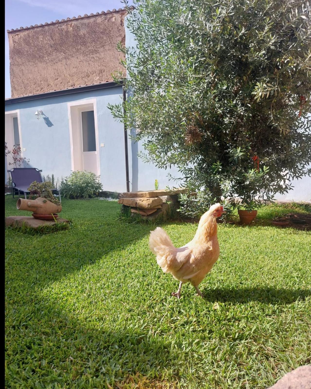 B&B Il Borgo Delle Emozioni Dolianova Екстер'єр фото